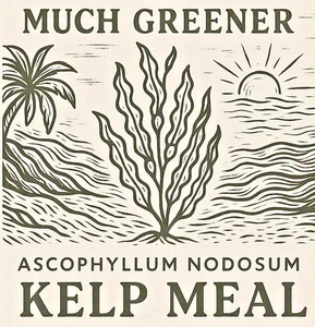 Kelp Granules of Ascophyllum Nodosum. Natural fertilizer NPK 1-0-3, choose Qty. - Picture 1 of 6