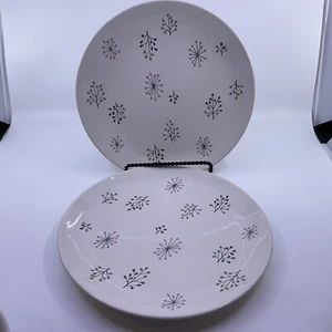 Franciscan Echo 10 1/2” Dinner Plates - Set Of 2 - Picture 1 of 8