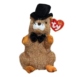 Tienda Ty Beanie Baby Phil 2004 - Como nueva - Imagen 1 de 1