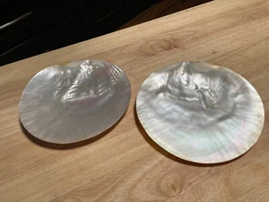 2er Set Mid Century Modern echte Abalone Muschel Teller 7" - Bild 1 von 4