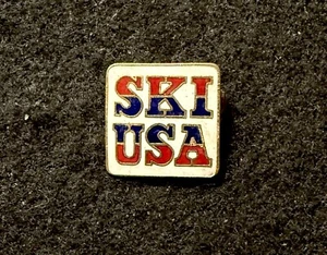 Pin ESQUÍ EE. UU. Estados Unidos de América Novedad Esquí Insignia Solapa Deportiva Solapa - Imagen 1 de 3