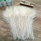 Beautiful peacock tail feather eyes 10-12 inches / 25-30 cm 5/10/50/100 pcs