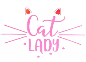 New Cat Lady Whiskers Pink Permanent Decal Sticker Vinyl Handmade Windows 4” - Picture 1 of 4