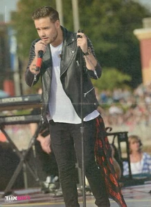 Póster de revista israelí Liam Payne One Direction 1D pliegues centrales 30X40 cm A3 - Imagen 1 de 10