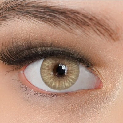 CHARMIGA Kontaktlinsen braun ohne Stärke farbige Jahreslinsen Funlinsen Sugar Brown