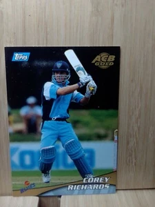 COREY RICHARDS🏆1999/2000 #11 ACB GOLD Tigers Trading Card🏆FREE POST - Picture 1 of 2