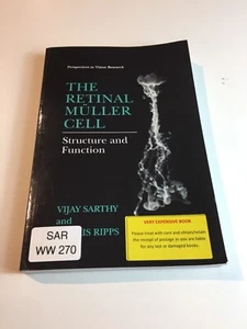 The Retinal Muller Cell Structure and Function - Picture 1 of 9