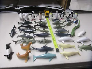 Seaworld Sea Life Lot 40+ Items - Picture 1 of 4