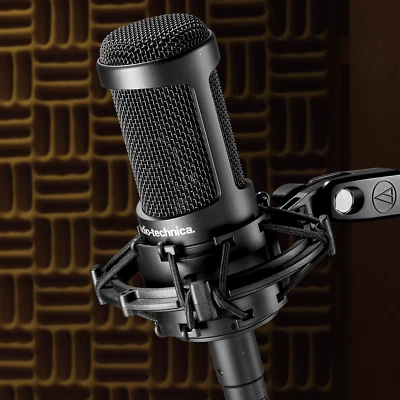 Audio-Technica AT2050 Multi-pattern Condenser Microphone  - Image 1 of 4