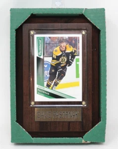 NHL PLAQUE W/CARD 4X6 BRUINS DAVID PASTRNAK New - Picture 1 of 1