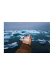 Cold on the Hand Poster High Quality Paper Print Home Furniture - Picture 1 of 18