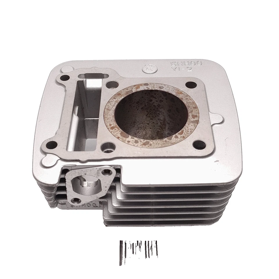 Yamaha TTR125 Mayfit TTR125E TTR125L TTR125LE Head Cylinder NOS - Imagem 1 de 4