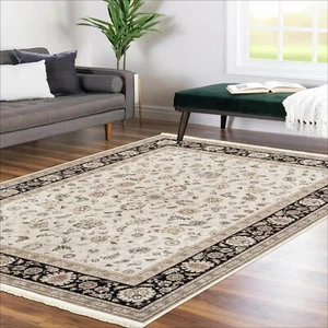 Alfa Rich 3x5 Runner Rug, Ultra-Thin Oriental Black Cream Rug, Non-Slip Washable - Picture 1 of 7