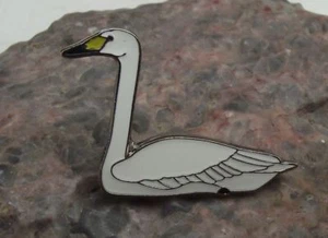 North American Trumpeter Whooper Swan River Lake Water Bird Waterfowl Pin Badge - Picture 1 of 2