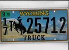 Wyoming 2019 License Plate "17T 25712" ***Campbell***