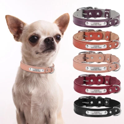 Collar de perro personalizado para perros pequeños cuero genuino suave cachorro gato Chihuahua Foto 1 de 4