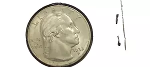 ERROR 2023 P Tallchief QUARTER Extra Feather No Reserve! - Bild 1 von 5