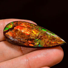 41.65Cts. 100% Natural Flashy Canadian Ammolite Pear Cabochon Loose Gemstone
