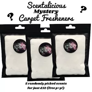 5x Mystery/Random Strong Scented Carpet Fresheners Shake and Vac, Fabric 95g Bag - Picture 1 of 1