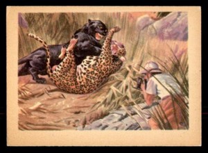 1956 Gum Adventure #30 Too Close For Comfort EX