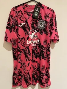 Hibernian 2024/24 Heimtorwarttrikot neu mit Etikett Herren Medium " - Bild 1 von 6