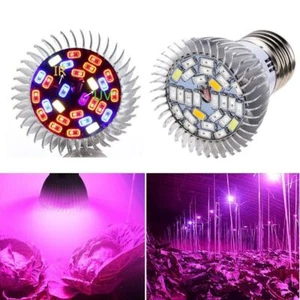 Lamp LED For Plants Indoor Full Spectrum Phyto Lamp Plant Lamp Grow Light Bulb - Picture 1 of 15