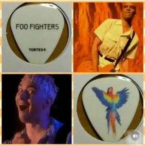 Foo Fighters Pat Smear Tour Guitar Pick - Picture 1 of 3