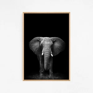 Black & White Elephant Animal Art Large Print. Perfect for Home Decor - Picture 1 of 9