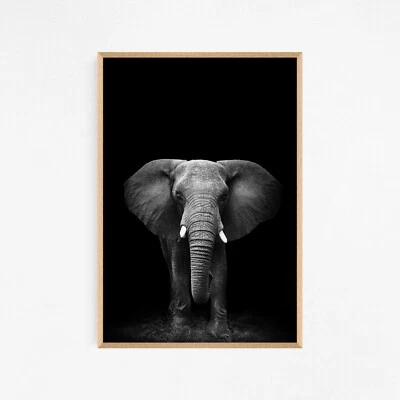 Black & White Elephant Animal Art Large Print. Perfect for Home Decor - Image 1 of 4