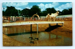 TX Postcard Billy Goats Gruff Trail Storybook Land Dallas-Fort Worth Amusement - Picture 1 of 2