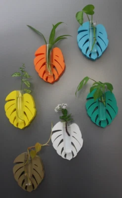 Monstera Reagenzglas Vase mit Magneten Hydroponic Pflanzenvermehrung Glasvase - Bild 1 von 4