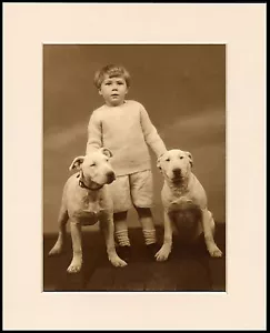ENGLISCHER BULLTERRIER KLEINER JUNGE UND HUNDE SCHÖNER HUNDEDRUCK MONTIERT RAHMENFERTIG - Bild 1 von 1