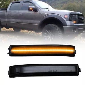 Smoke Lens Amber LED Side Mirror Light for 2009-2014 Ford F-150 10-14 Raptor SVT - Foto 1 di 6