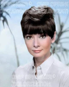 AUDREY HEPBURN STUNNING PORTRAIT #2 8X10 BEAUTIFUL COLOR PHOTO BY CHIP SPRINGER - Picture 1 of 1