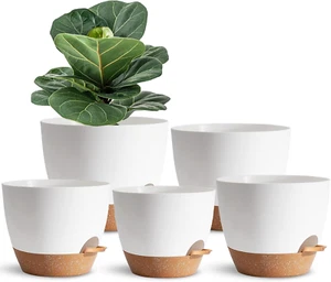 5 Pack Self Watering Plant Pots White Plastic 7 to 5 Inch for Houseplants & Succ - Picture 1 of 12