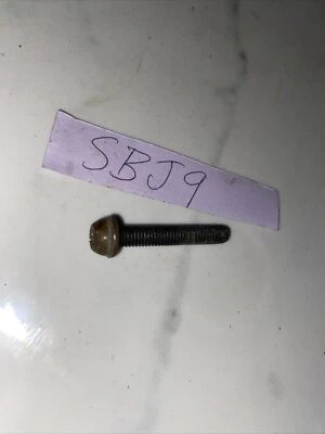 Tornillo de admisión para motosierra Poulan PP4218AVX genuino OEM 530016426 Foto 1 de 2