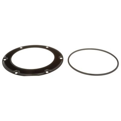 Fuel Tank Lock Ring Delphi For 1999-2002 INFINITI G20 - Image 1 of 4