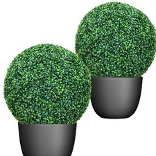 2 x Buchsbaum im Topf 22 cm EDEL LINGUSTER grün gelb Sehr schön wie echt