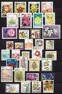 101396/ Blumen und Pflanzen - schönes Lot - o - nichts gerechnet - siehe scan - Picture 1 of 1