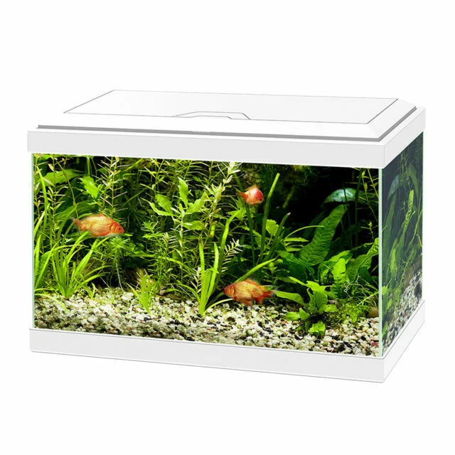 Askoll Aqua 20 17L Luce LED Acquario - Bianco (280664)