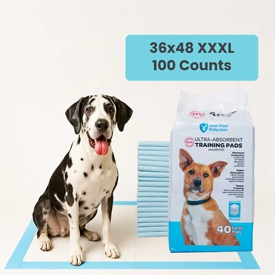 100 Potty Training Pads for Adult Dogs 36x48" Unscented Ultra-Absorbent 3XL Pads - Image 1 of 4