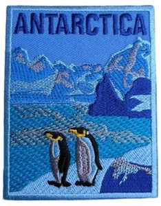 Toppa Polo Sud Antartide (3,5") distintivo ferro da stiro souvenir viaggio emblema pinguini - Foto 1 di 3