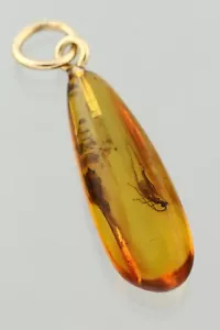 Fossil WASP Genuine BALTIC AMBER Gold Plated Silver Pendant 0.7g 250107-17 - Picture 1 of 6