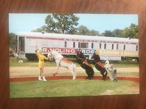Circus World Museum Trained Animal Act Postcard New and Unused. J3264 Wisconsin - Picture 1 of 2