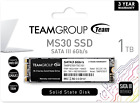 MS30 1TB with SLC Cache 3D NAND TLC M.2 2280 SATA III 6Gb/S Internal Solid State