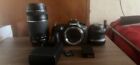 Canon Eos R100 With 18-45Mm Lens, 75-300Mm Lens, 50Mm Lens, & A Mount Adapter!