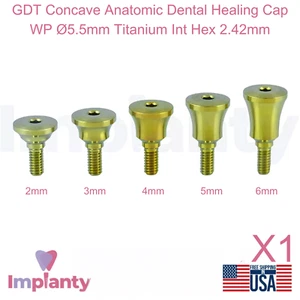 Tapa de curación dental anatómica cóncava GDT WP Ø5,5 mm titanio hexagonal interior 2,42 mm - Imagen 1 de 6