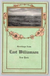 postcard EAST WILLIAMSON NY 1913 Greetings from Missionary Ernest Lake Ontario - Picture 1 of 2