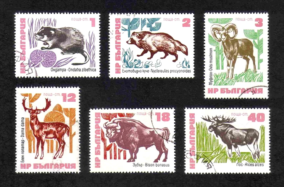 Bulgaria 1973 Bulgarian Fauna/ Animals complete set of 6v. (SG 2243-2248) used - Image 1 of 1
