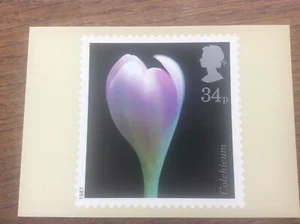 Colchicum Flowers Postcard 1987 Post Office Stamp Alfred Lammer - Picture 1 of 2